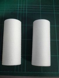 Noritsu minilab chemical filter A124855 / A124855G supplier