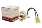 Halogen Lamp Noritsu mini lab supplier