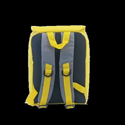 leisure backpack CR-206 Yellow Travel Work Hiking School Sports supplier