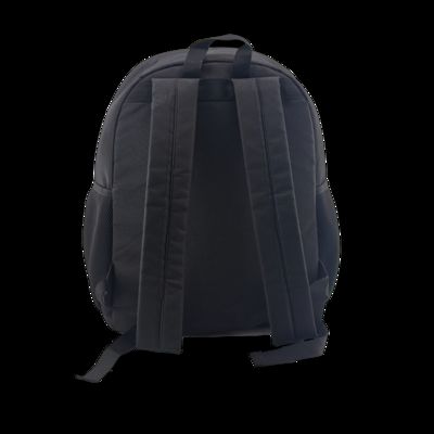 CR-198 leisure backpack for School Hiking Camping or Work supplier