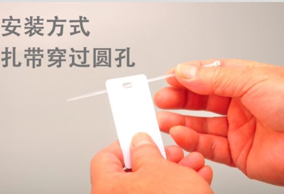 25mmx70mm PVC Single hole label HMK SR-2570P white supplier