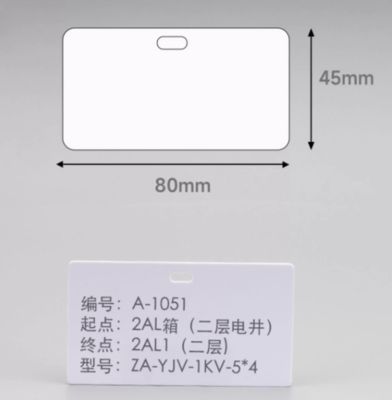 SG458005 45mmx80mm pvc Long side single hole hanging tag white supplier