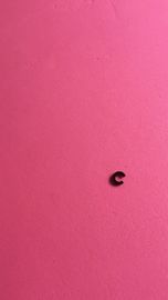 C ring / Stopring for 357002205A / 3570 02205 Konica R2 minilab  part supplier
