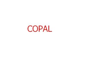 chemical filter for KML-25/NPS/Copal minilab 75x22x35mm supplier