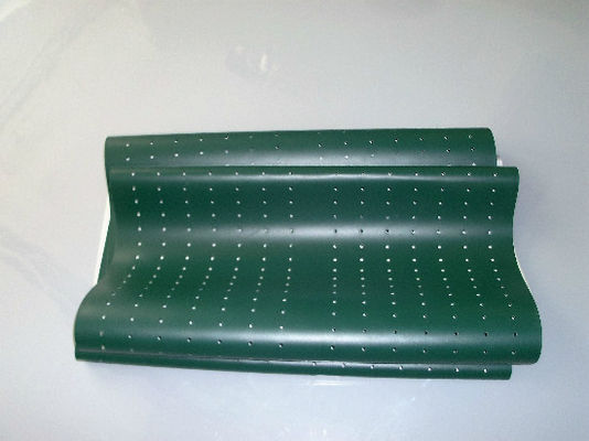 Poli Laserlab 3049 Digital Minilab Part Green Belt supplier